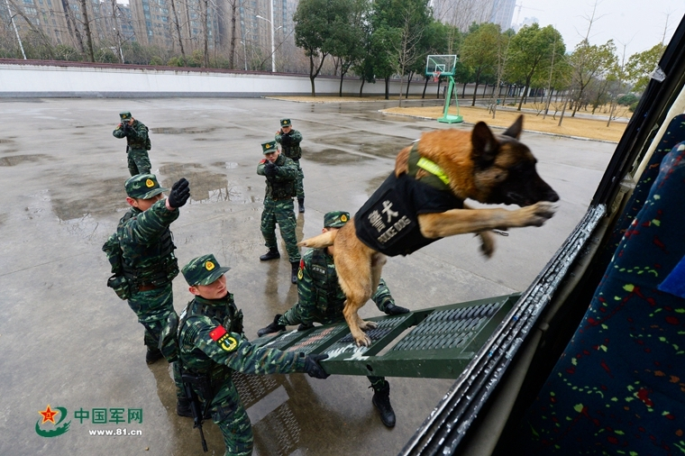 總把新桃換舊符的上一句是啥,敏捷解釋解答落實