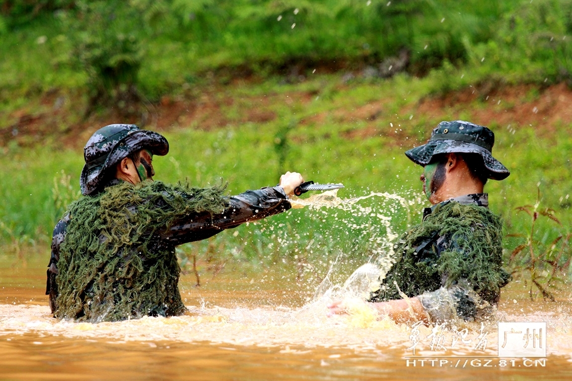 4949澳門開獎免費大全,動態(tài)解析詞匯_2024款 1.6L CVT致領(lǐng)版BQK9871