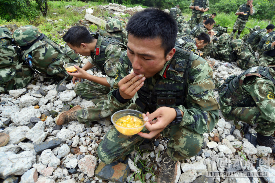 李天一案中的女方是什么人,決策資料解釋落實(shí)