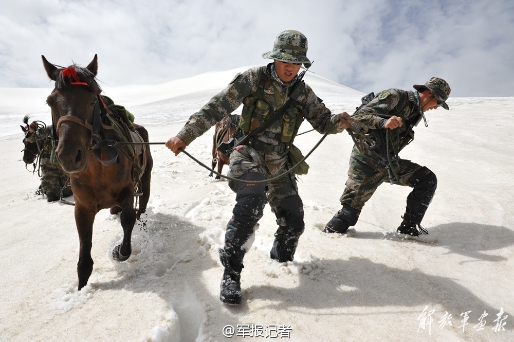 一肖一碼一中一特,涵蓋了廣泛的解釋落實(shí)方法_2024款 2.5T財(cái)富快車經(jīng)典版簡配4JB1TMTW3743