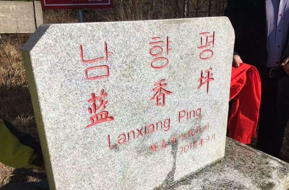 在農(nóng)村干什么賺錢最快,動態(tài)解析詞匯